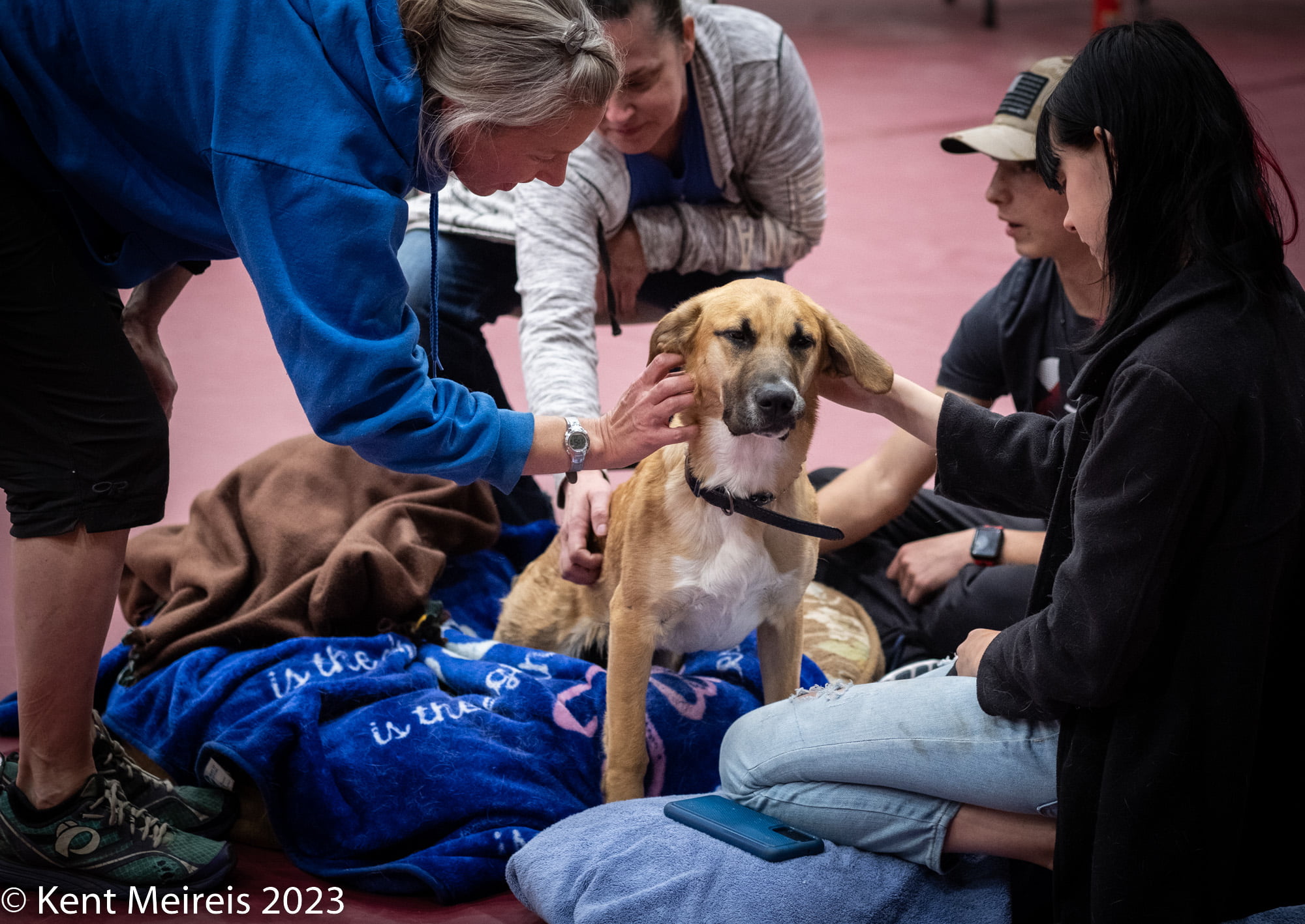 Arlee Spay and Neuter Clinic